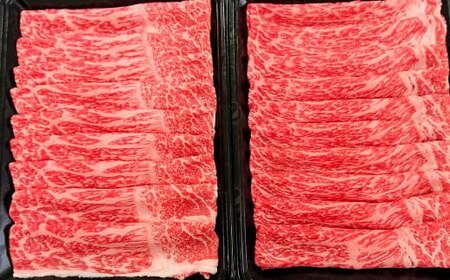A4～A5限定 九州産 黒毛和牛 赤身 スライス（もも・うで）計800g 400g×2パック 数量限定【2025年8月発送】