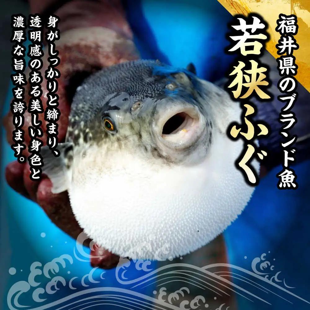 若狭ふぐ てっさ と てっさの炙り 4〜5人前 冷蔵 小浜市 / 若狭ふぐの宿 下亟【配送不可地域：北海道・沖縄・離島】[BFAF019] ふぐ