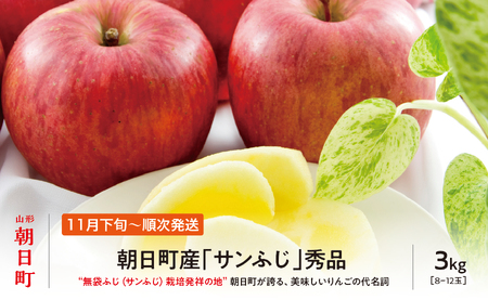 ＜ 先行予約 ＞ サンふじ りんご 秀品 約 3kg 8～12玉 【2026年11月下旬から12月下旬発送】 山形県 朝日町産 山形県産 果物 フルーツ リンゴ 林檎 秋 冬