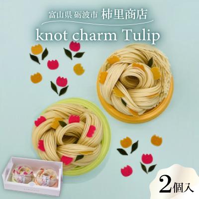 ふるさと納税 砺波市 富山県砺波市　柿里商店　手延べ素麺「knot charm Tulip」お花もお召し上がりいただけます