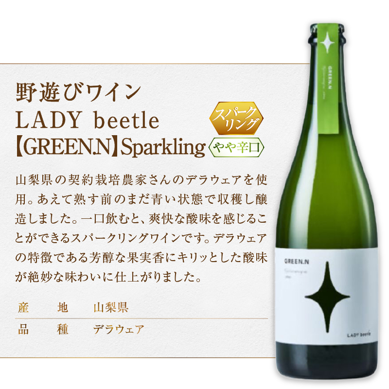 フジクレール 野遊びワイン LADY beetle【WHITE.N】【ROSE SP Sparkling】【GREEN.N Sparkling】3本セット（MG）D6-651