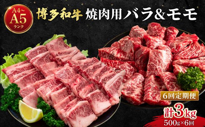  ＜定期便・全6回＞博多和牛 牛肉 焼肉 バラ モモ 500g【肉のくまもと屋】 定期便・全6回