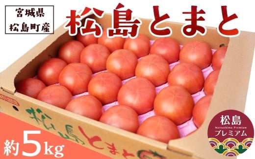 松島とまと ／ 農産物 トマト 新鮮 宮城県 No.003