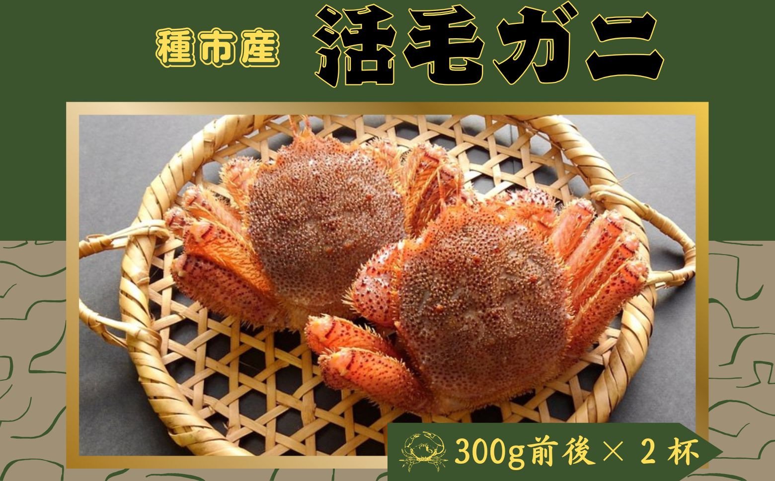 
            【期間限定・獲れたてを直送】種市産活毛がに中サイズ（300g前後）×2杯 天然 冷蔵 三陸 蟹 カニ
          