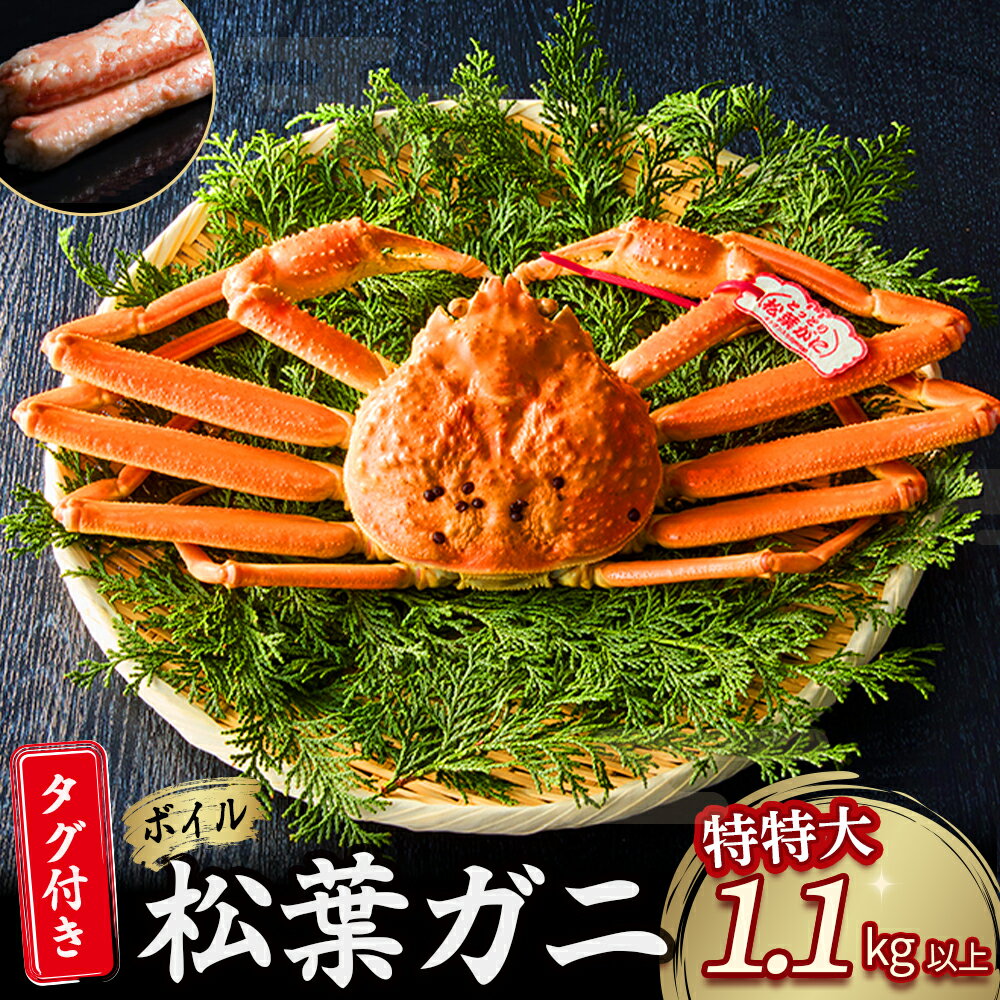 【ふるさと納税】 【魚倉】 タグ付き ボイル 松葉ガニ （特特大 1,100g以上） ズワイガニ 松葉蟹 カニ かに かにしゃぶ 【11月から3月発送予定】