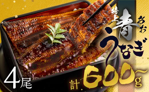 【年内お届け/冷凍】厳選 高級 青うなぎ 4尾 蒲焼 600g