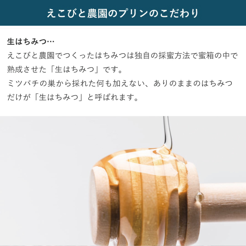 えごま農家が作った生はちみつ ギフトセット【ハチミツ 非加熱 純粋はちみつ 生はちみつ ハニー ギフト 贈答用】(H037119)