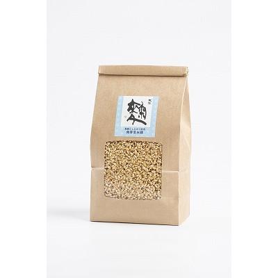 ふるさと納税 飛騨市 飛騨こうじ【発芽玄米麹】　1kg(500g×2パック)
