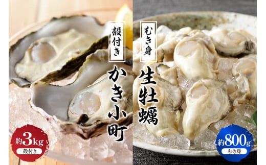 【先行受付】【2025年12月より発送】丸十水産 生牡蠣 特選むき身 800g 殻付き かき小町 約3kg (15～21個) セット ku003-004-25