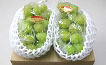 綾川町産　極上シャインマスカット　2房（化粧箱入り）約1kg 果物 ぶどう フルーツ 葡萄 種なし 