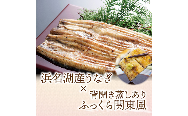 【3か月定期便】浜名湖産 うなぎ白焼　約140g×2尾入り　計3