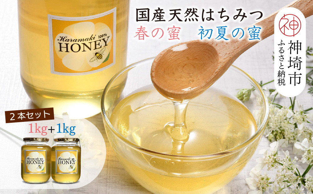 
            【春の蜜 & 初夏の蜜セット】2025年産 国産天然蜂蜜 春の蜜1kg & 初夏の蜜1kg【合計2kg】【蜂蜜 パンケーキ ヨーグルト 甘み フルーティ とろとろ】(H049121)
          