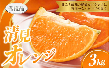 オレンジ 清見オレンジ  3kg 秀優混合【S～３Lサイズ混合】【agy019】