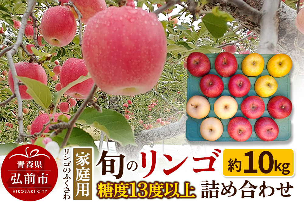 りんご 家庭用 旬のリンゴ詰め合わせ 約10kg 糖度13度以上