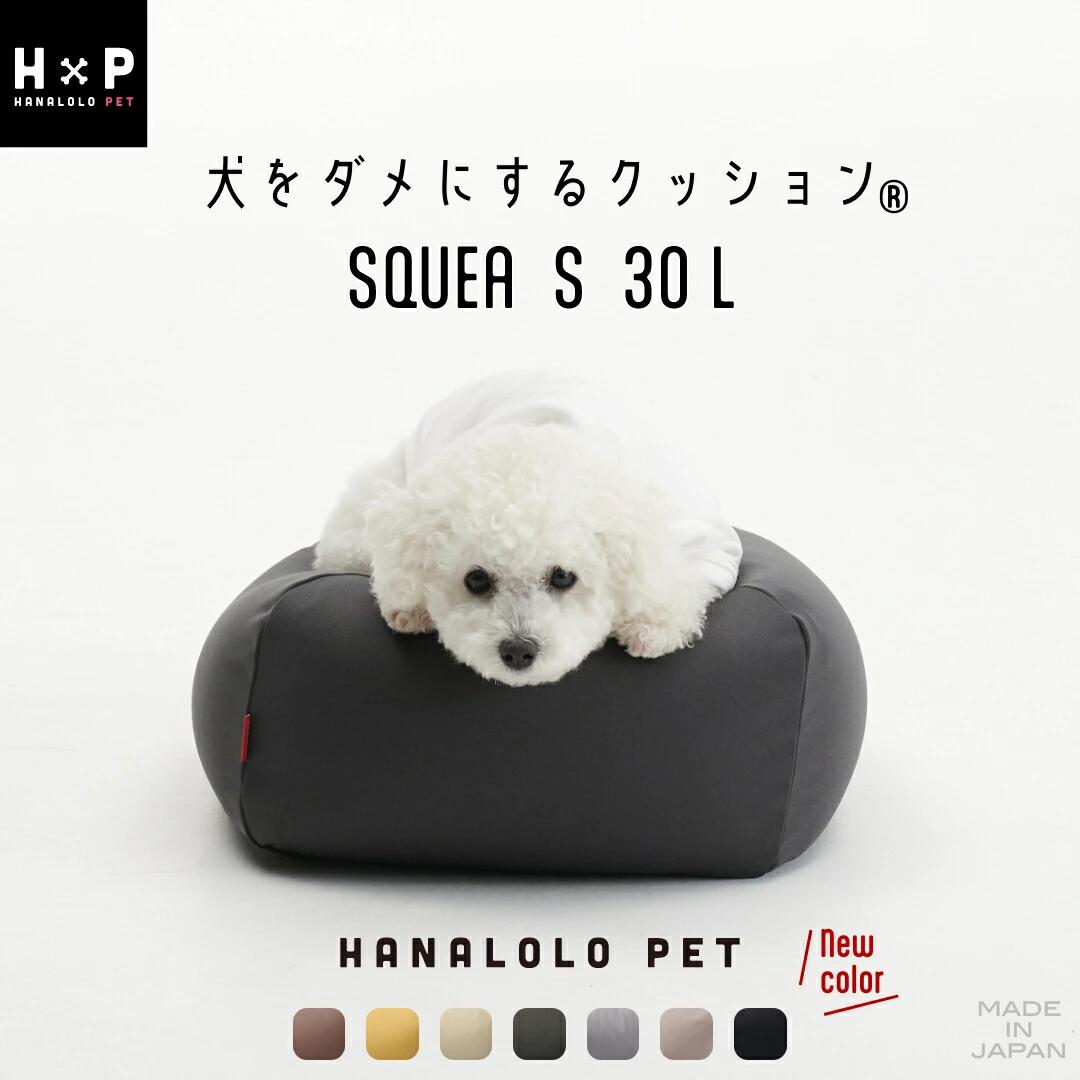 【ふるさと納税】犬をダメにするクッション Sサイズ スクエアペットクッション ペットベッド カバーセット ビーズクッション 犬 ペット用品 補充 カバー クレアビーズ 日本製 ハナロロ かわいい 新生活 おしゃれ 雑貨 インテリア 癒し お手軽 日本産 国産 愛知県 田原市