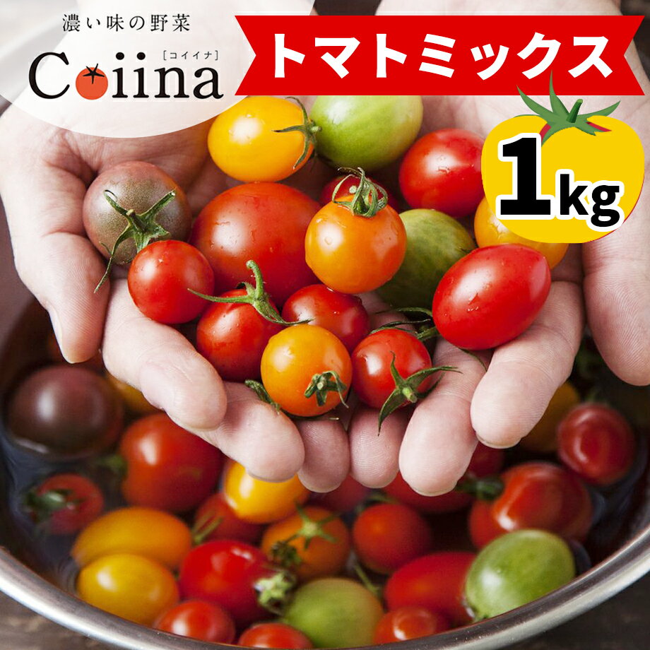 【ふるさと納税】[2025年12月下旬より発送] Coiinaトマトミックス 厳選！詰め合わせセット 1kg｜コイイナ コイーナ 濃い味 ブランドトマト リコピン アイメック栽培 甘い 旨い 食感が良い [0670]