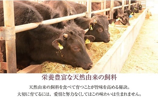 栄養豊富な天然由来の飼料