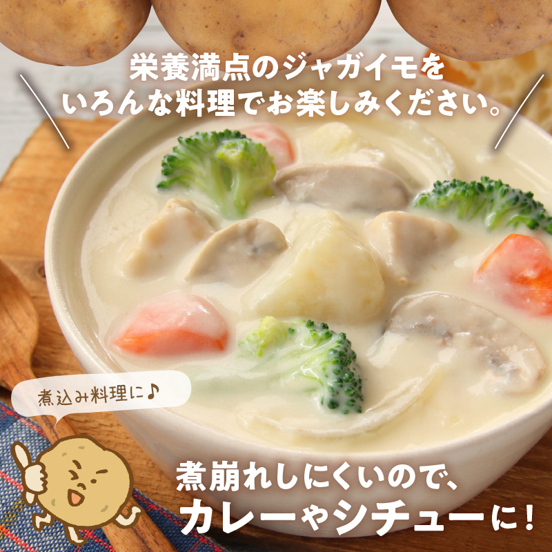 【2026年先行予約】沖永良部の赤土で育った新ジャガイモ 10kg（ニシユタカ）2～4月お届け　C054-001-02