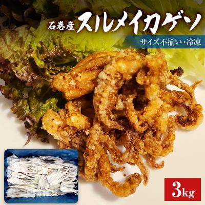 ふるさと納税 石巻市 石巻市産スルメイカゲソ3kg 冷凍 国産 スルメイカ いか イカ イカゲソ ゲソ天 バラ冷凍 宮城県