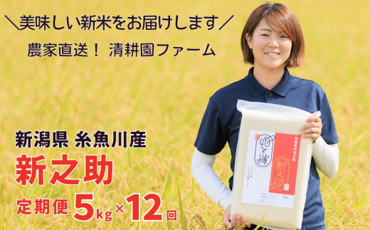 令和8年産新米『新之助』 【定期便】  5kg×12ヶ月 計60㎏ 新潟県糸魚川産 農家直送 真空パック 清耕園ファーム しんのすけ 毎月お届け 10月下旬出荷予定【お米 こめ ご飯 ライス ふるさと納税米 ブランド米 5キロ 12回 12か月 2026年産】