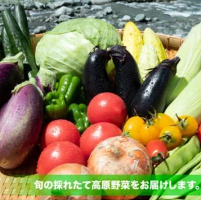 ふるさと納税 大鹿村 季節の青果(15袋〜20袋) ※7月〜10月頃までの発送