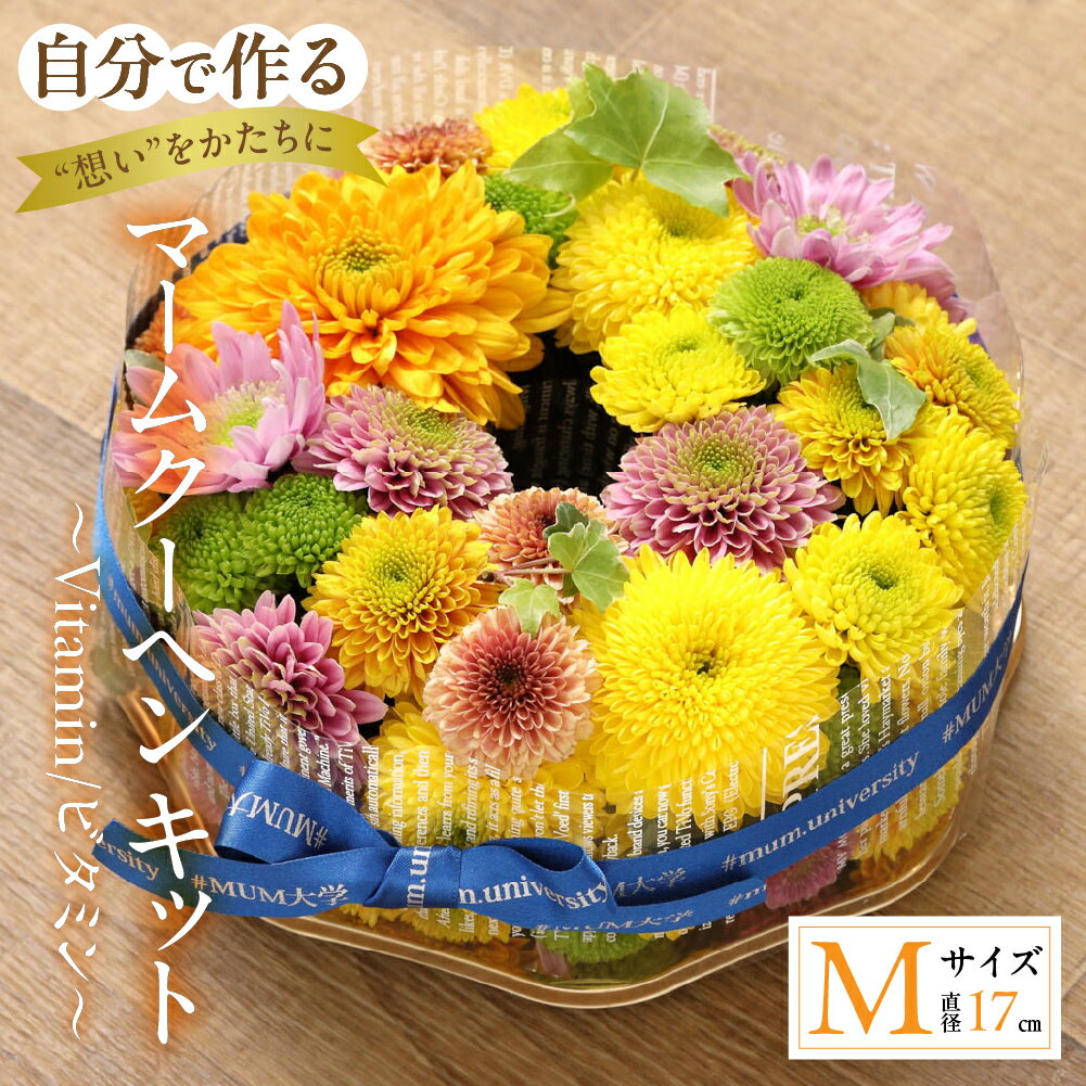 【ふるさと納税】【マームクーヘン キット】～Vitamin/ビタミン～ 花束 観賞用 ギフト プレゼント 贈り物 贈答用 自分用 植物 花 フラワー 癒し はな 華 産地直送 田原市 送料無料