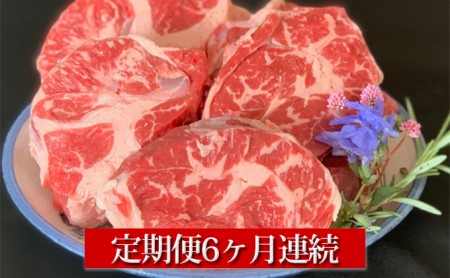 【定期便】【国産】牛スネ肉500g×2パック 1kg 6ヶ月連続お届け 合計6kg 牛スネ肉 スネ肉 スネ アウトドア お肉 牛肉 肉 国産牛 国産 冷凍 肉じゃが カレー 藤井商店 お取り寄せ 定期便 定期 6回 6ヶ月 茨城県 守谷市 ※沖縄県・離島への配送不可