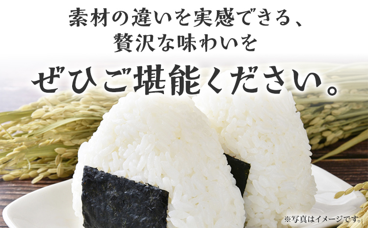 海苔 有明海産海苔 初摘み有明美人詰合せ 14袋 福岡有明のり 初摘み 焼き海苔 詰合せ 一番摘み 焼きのり 国産 ギフト 贈答用 お中元 お歳暮 おにぎり 手巻き寿司 ご飯のお供 絶品 パリパリ 口