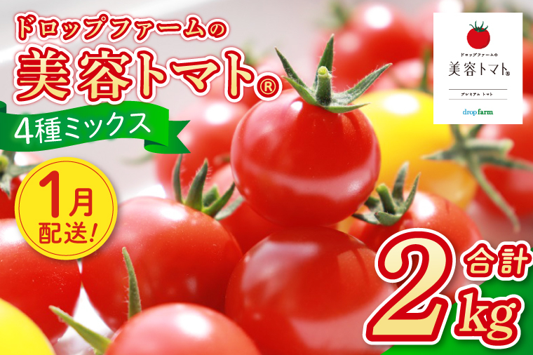 【1月発送】ドロップファームの美容トマト おまかせ2kg箱(４種ミックス)【とまと フルーツトマト 野菜ソムリエ 朝採れ アイコ イエローアイコ 小鈴 フルティカ 野菜 フレッシュ リコピン 大容量 