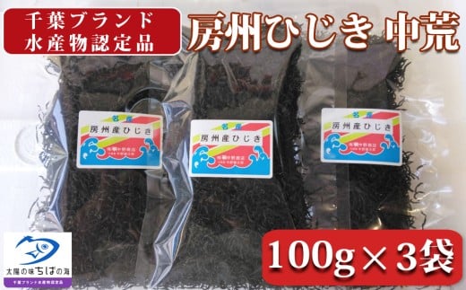 【中野健太郎商店】房州ひじき 中荒ひじき 100g×3袋 [0009-0038]