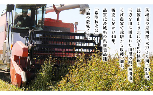 ＜お歳暮熨斗付＞八割乾麺セット 茨城県産【常陸秋そば】石臼挽きそば粉使用 贈答用 200g×4パック【12月上旬より発送開始】 [BE038sa]