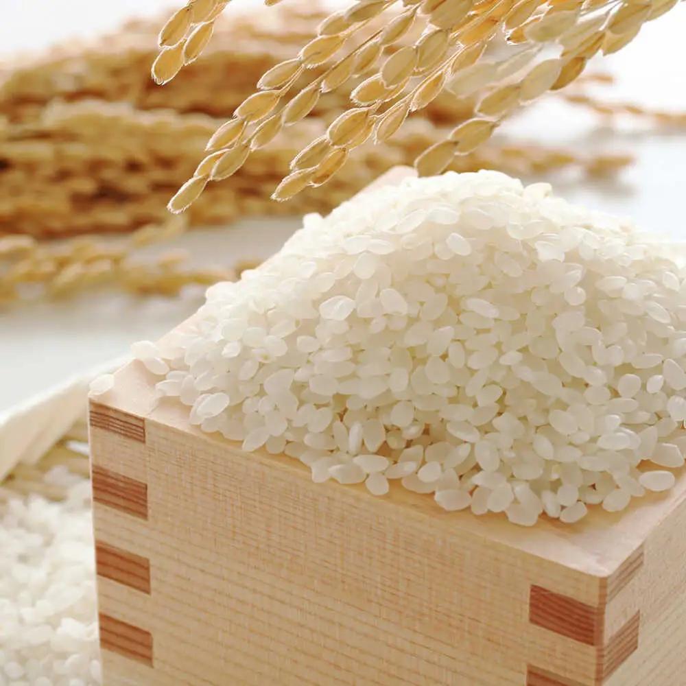 【令和7年産】果物屋さんが選んだ米 夢つくし 5kg 米 白米 お米 ブランド米[ABET008]