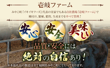 九州産黒毛和牛100％ 手ごねハンバーグ&牛すじ煮 計4個セット 自家製ハンバーグソース付き 惣菜 晩御飯 晩ご飯 晩飯 夕飯 夜ご飯 夜食 洋風 和風 つまみ オリジナル たれ 煮込み 壱岐ファーム