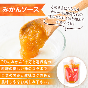 s515 ≪毎月数量限定≫十万温州みかんソース(計6本・1本200g)【田野農園】