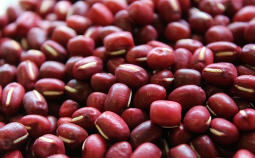 瑞穂大納言小豆 500g 【地域限定 京丹波町産 ブランド 小豆 あずき あんこ 赤飯 京都 】