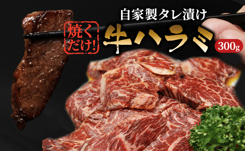 ハラミ たれ漬け 300g 牛肉 牛 肉 お肉 味付け肉 タレ 焼くだけ 真空パック 漬け 焼き肉 焼肉 バーベキュー アウトドア キャンプ 弁当 おかず 冷凍 牛ハラミ 大阪 柏原市 大阪府柏原市