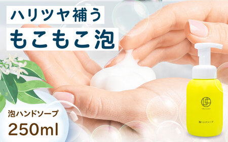 泡ハンドソープ 250ml BKAZ001ソープ