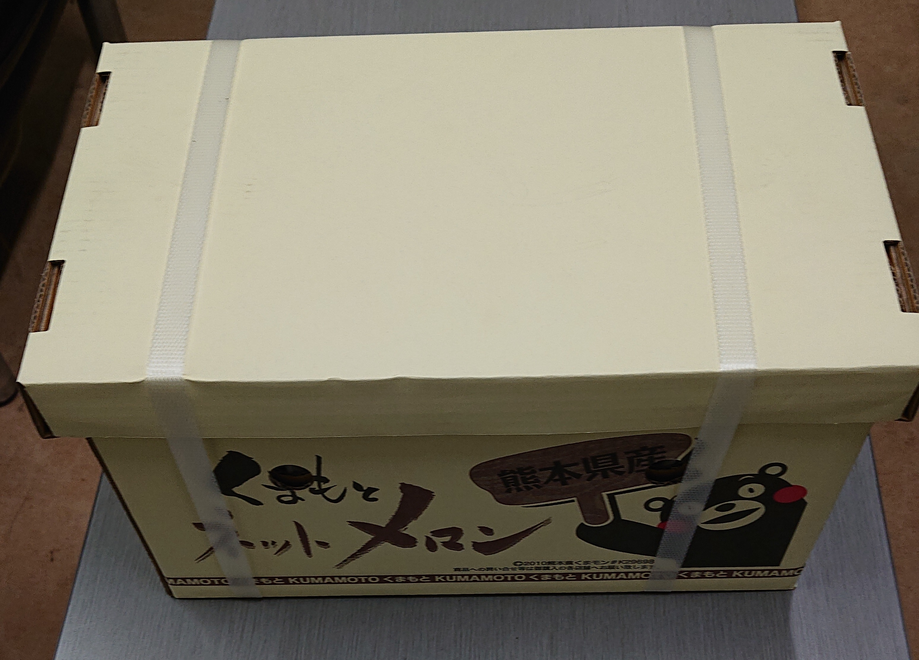 【先行予約】 宇城市産 アールスメロン 2玉 フレッシュダイレクト【2026年6月上旬〜7月下旬頃順次発送予定】