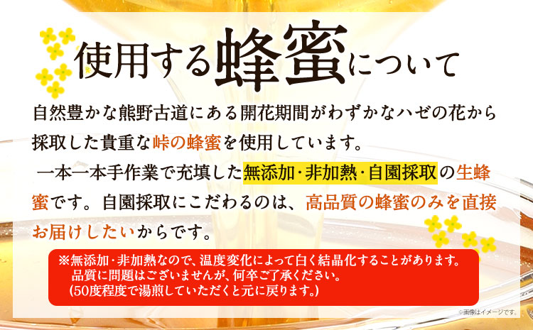 大きめ6号！ガレット・デ・ロワwith峠プレミアム「玄」～ナッツ・ドライフルーツの蜂蜜漬～《90日以内に出荷予定(土日祝除く)》---wsh_fswkgrgen_90d_22_19000_1p---