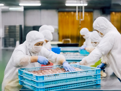 山口魚急便 K-5 干物 アジ 蓮子鯛 カレイ 剣先イカ 釜揚げ 山口県 長門市 海匠國近 干物 一夜干し 手作り 5種類 先行受付 お中元 お歳暮 ギフト 贈り物 7月発送 (10144)