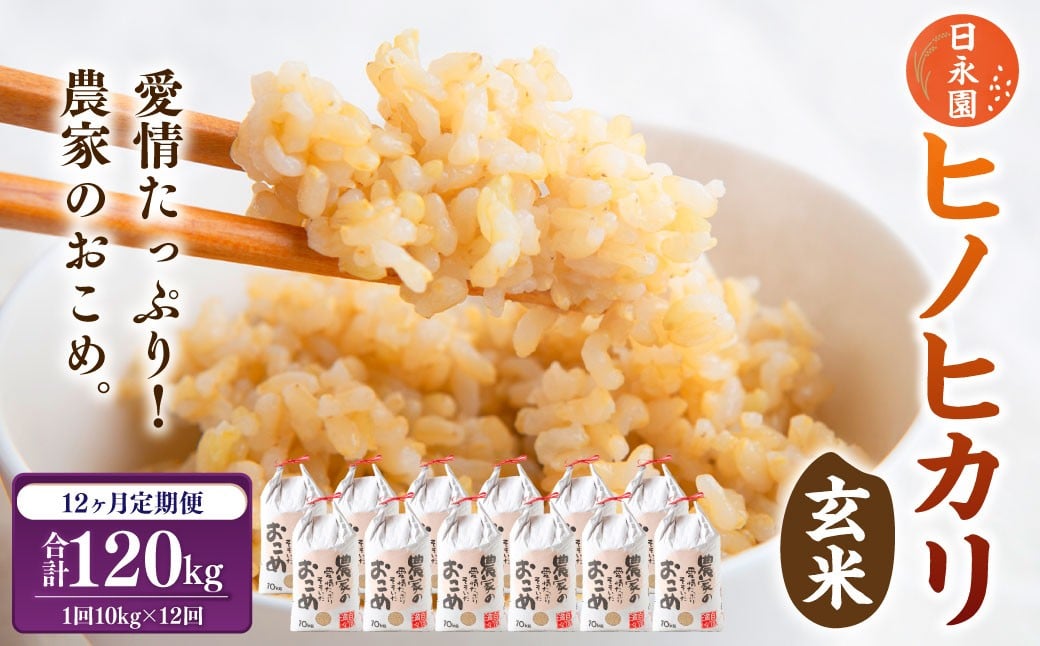 
                  【12ヶ月定期便】日永園 ヒノヒカリ 玄米 10kg×12ヶ月 【2025年11月下旬より発送予定】 米 お米 ご飯  うきは市
                