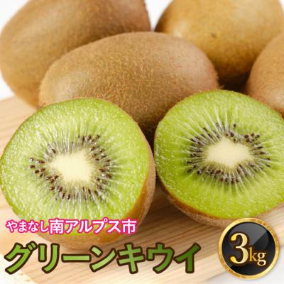 ふるさと納税 南アルプス市 【2026年発送】山梨県南アルプス市産　グリーンキウイ　約3kg