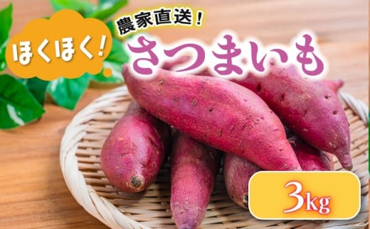 さつまいも 3 kg 野菜 サツマイモ 焼き芋 芋 鳴門金時 なると金時 ヤサイ やさい 食材 新鮮 旬 産地直送  滋賀県 竜王町 送料無料 竜王産