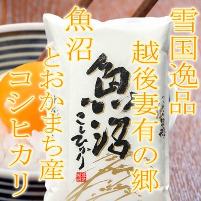 ふるさと納税 十日町市 【令和7年産　先行受付】【雪国逸品4Kg】 越後妻有の郷 魚沼十日町産コシヒカリ(精米)