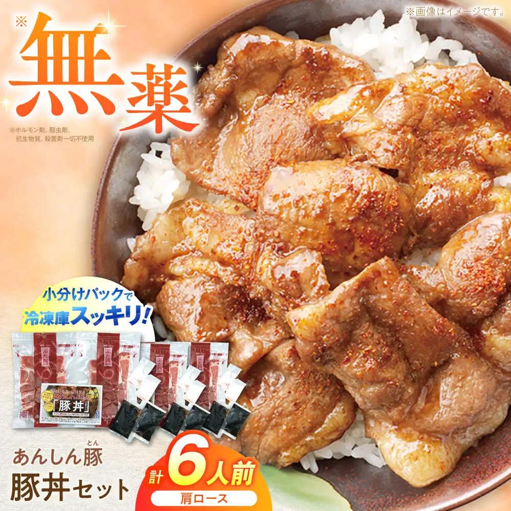 豚丼セット 計6人前 藤井ファーム [AWAF003]豚丼