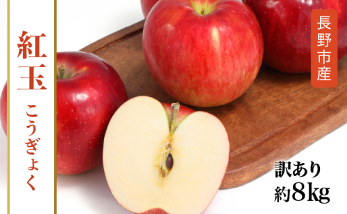 紅玉訳アリ8kg りんご 長野市産 フルーツ