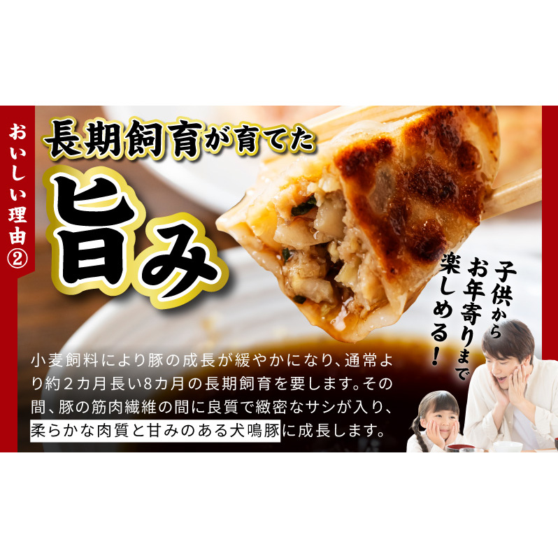 【泉佐野ブランド豚】犬鳴豚餃子 100個【国産 豚肉 ぶたにく 犬鳴ポーク 焼くだけ 人気 総菜 冷凍】 099H4477_イメージ5