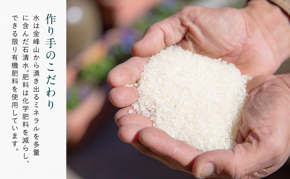 ★令和7年産★鹿児島県南さつま市産「金峰コシヒカリ」5kg 【玄米低温貯蔵・白米でお届け】超早場米 早期米 こしひかり 白米 九州産 鹿児島県産 お米 コメ おこめ 5キロ 松木のお米直販 南さつま市