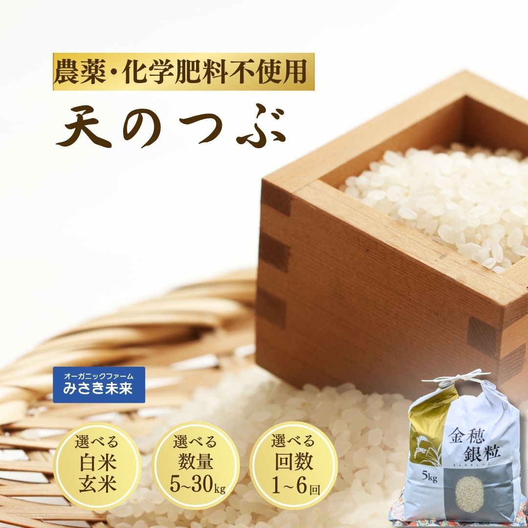 【ふるさと納税】 天のつぶ 令和7年産 選べる 白米 / 玄米 ・ 5kg / 10kg ・ 単月 / 3ヶ月 / 6ヶ月 農薬・化学肥料不使用 | 無農薬 農薬不使用 化学肥料不使用 有機的栽培 精米 お米 米 福島産 福島県産 南相馬 みさき未来