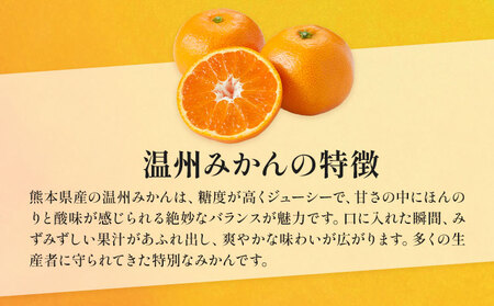 温州みかん 約3kg 日本フルーツ株式会社 熊本県 荒尾市 《11月上旬-12月上旬頃出荷》 デコポン 果物 秀品 フルーツ スイーツ デザート ギフト ご贈答